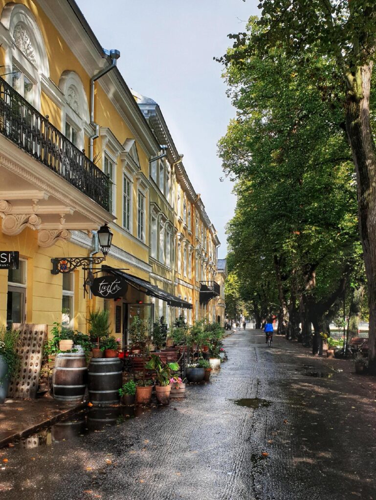 Best Restaurants in Turku - Your Local Guide