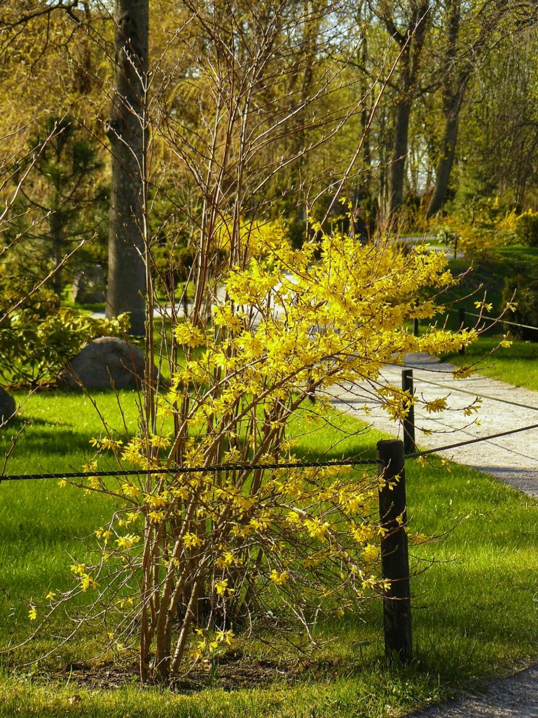 Outlandish blog Spring in Tallinn Estonia
