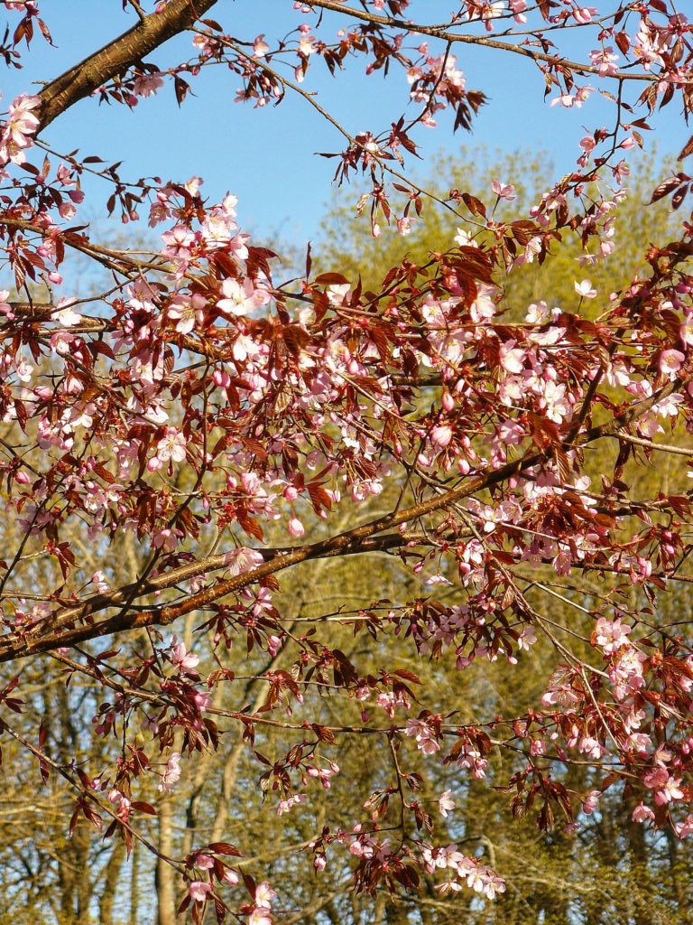 Outlandish blog Spring in Tallinn Estonia