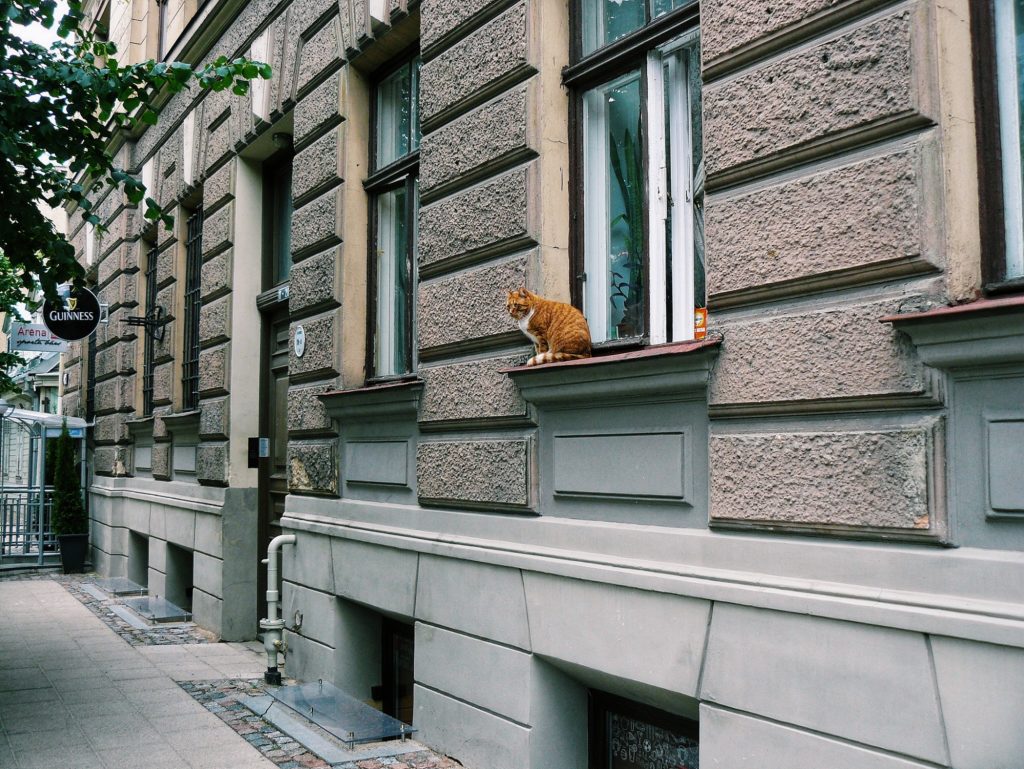 Outlandish blog travel Riga Latvia Midsummer stories