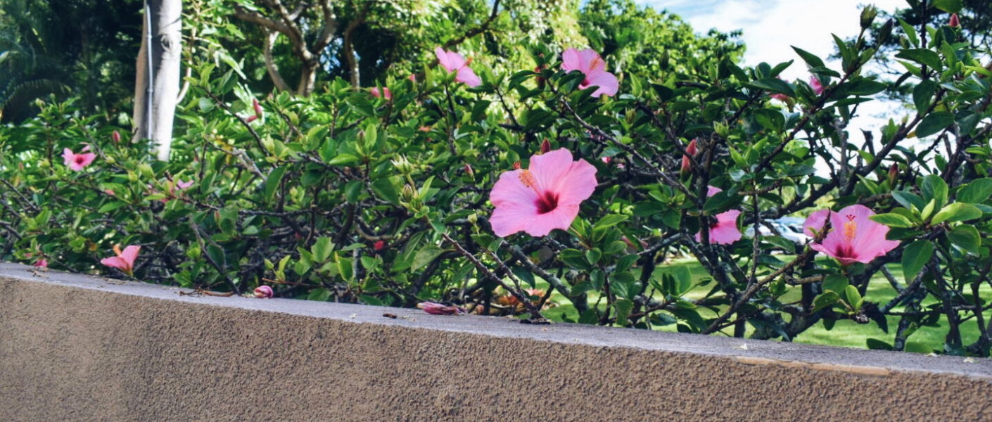 Hotel review Andaz Resort Maui
