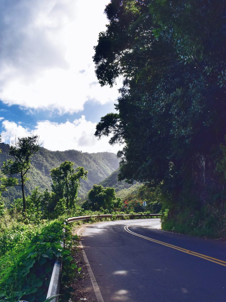 what to do in Maui