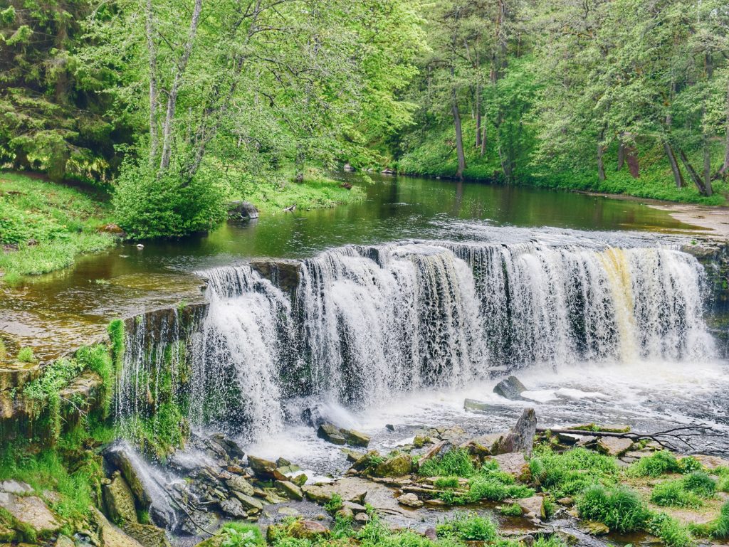 Road Trip Through Estonia To Experience