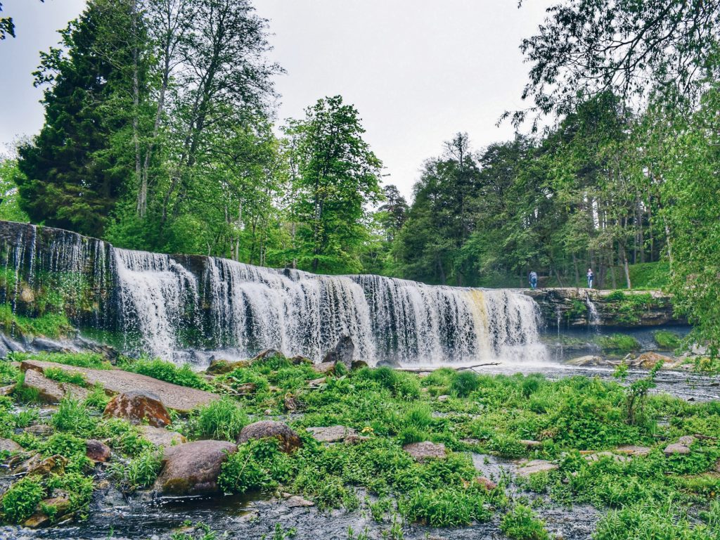 Road Trip Through Estonia To Experience