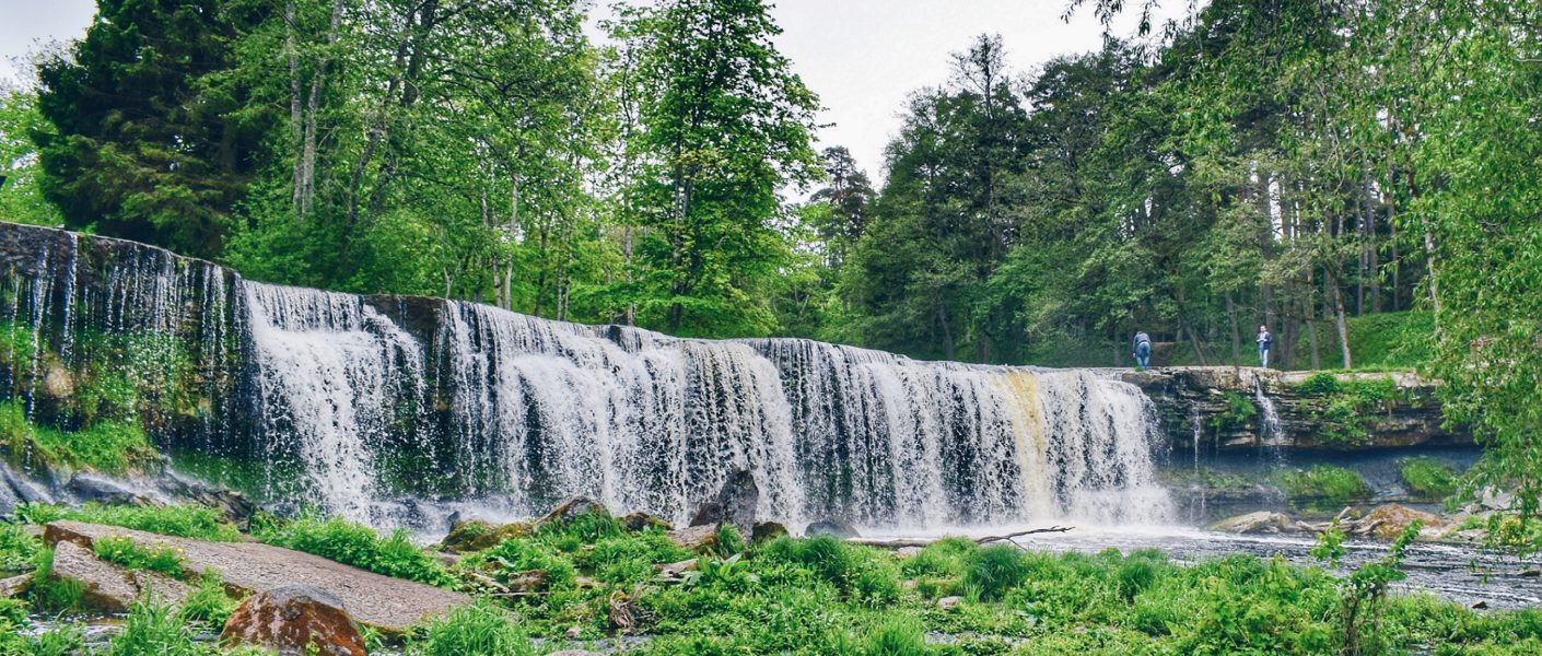 Road Trip Through Estonia To Experience