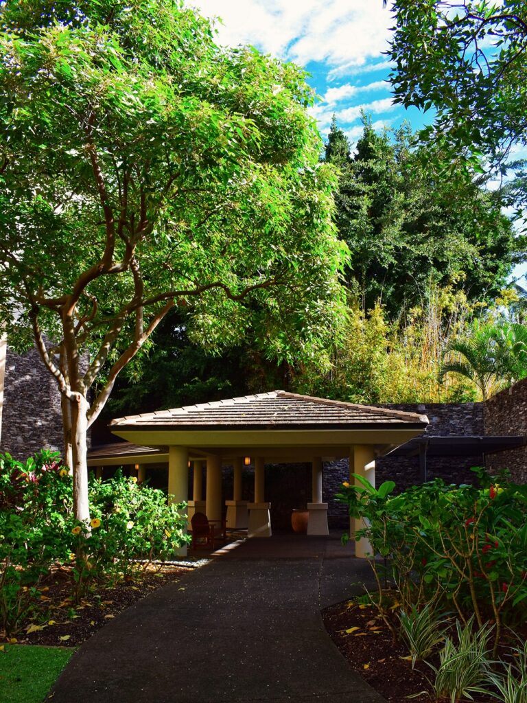 wellness retreats