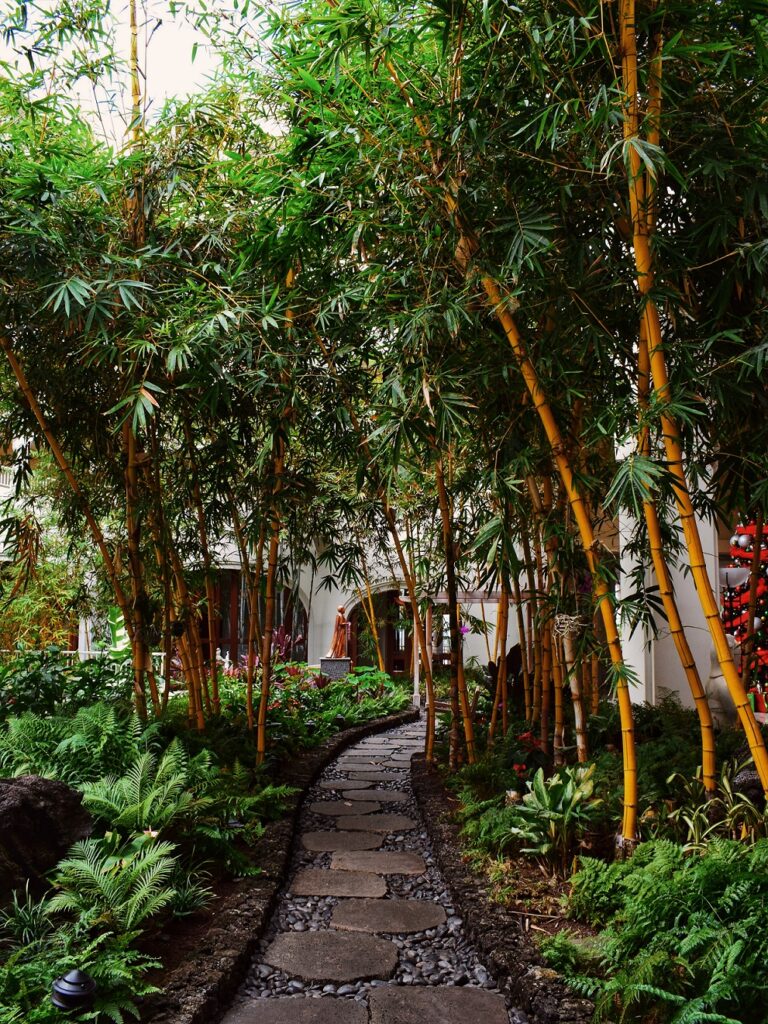 wellness retreats
