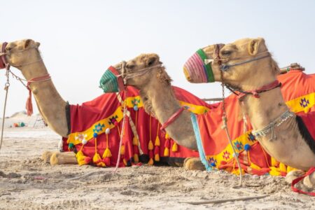 desert safari in Dubai