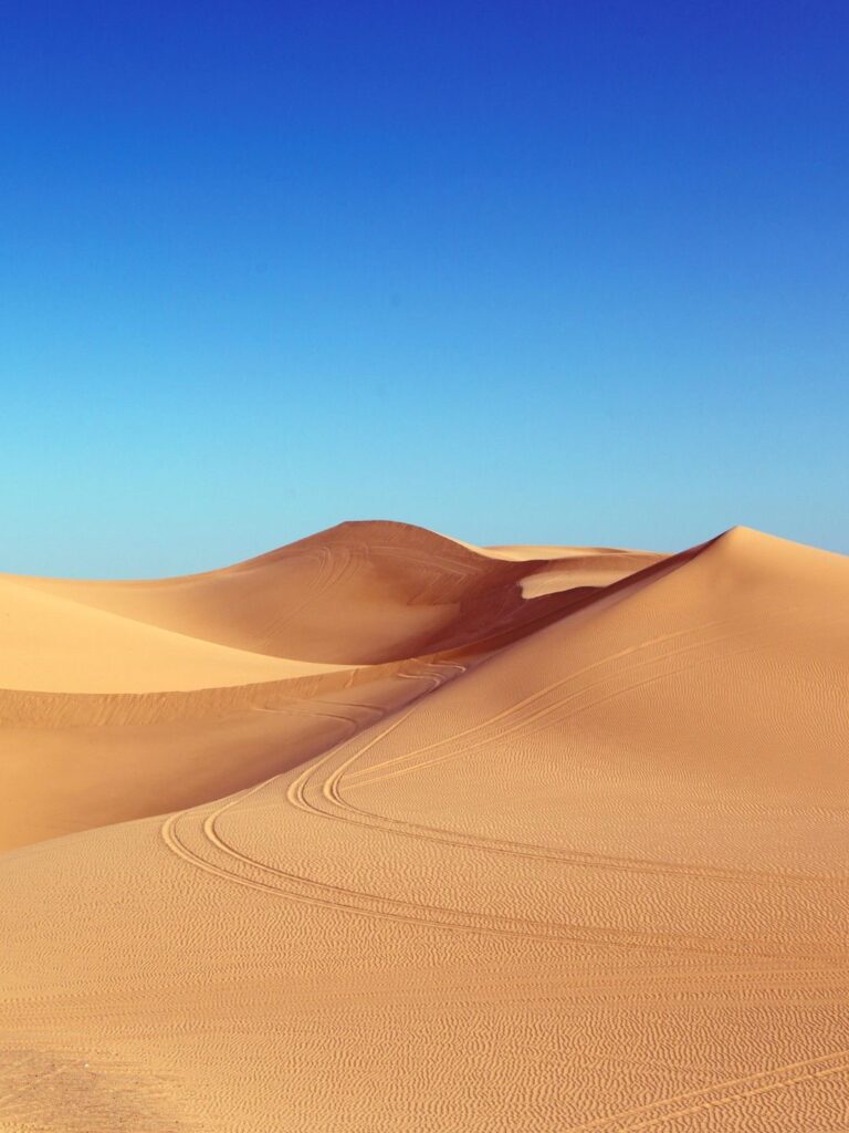 desert safari in Dubai
