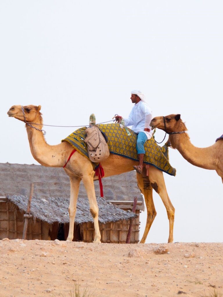 desert safari in dubai