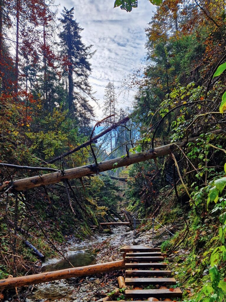 Slovenský Raj
