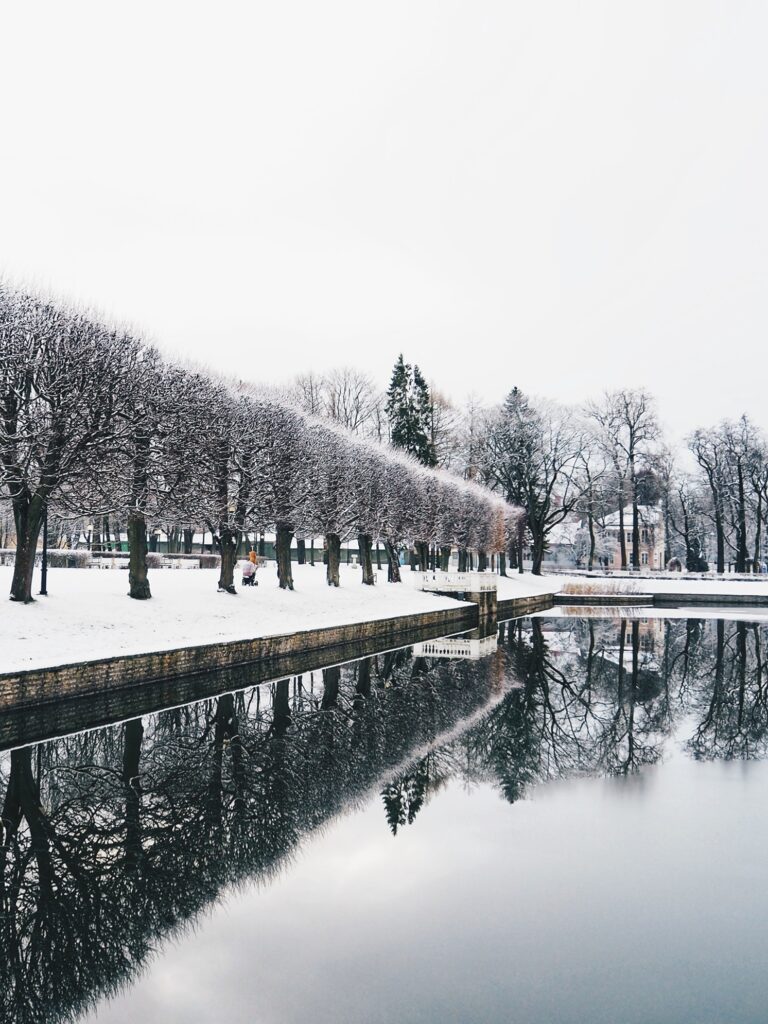 winter darkness
