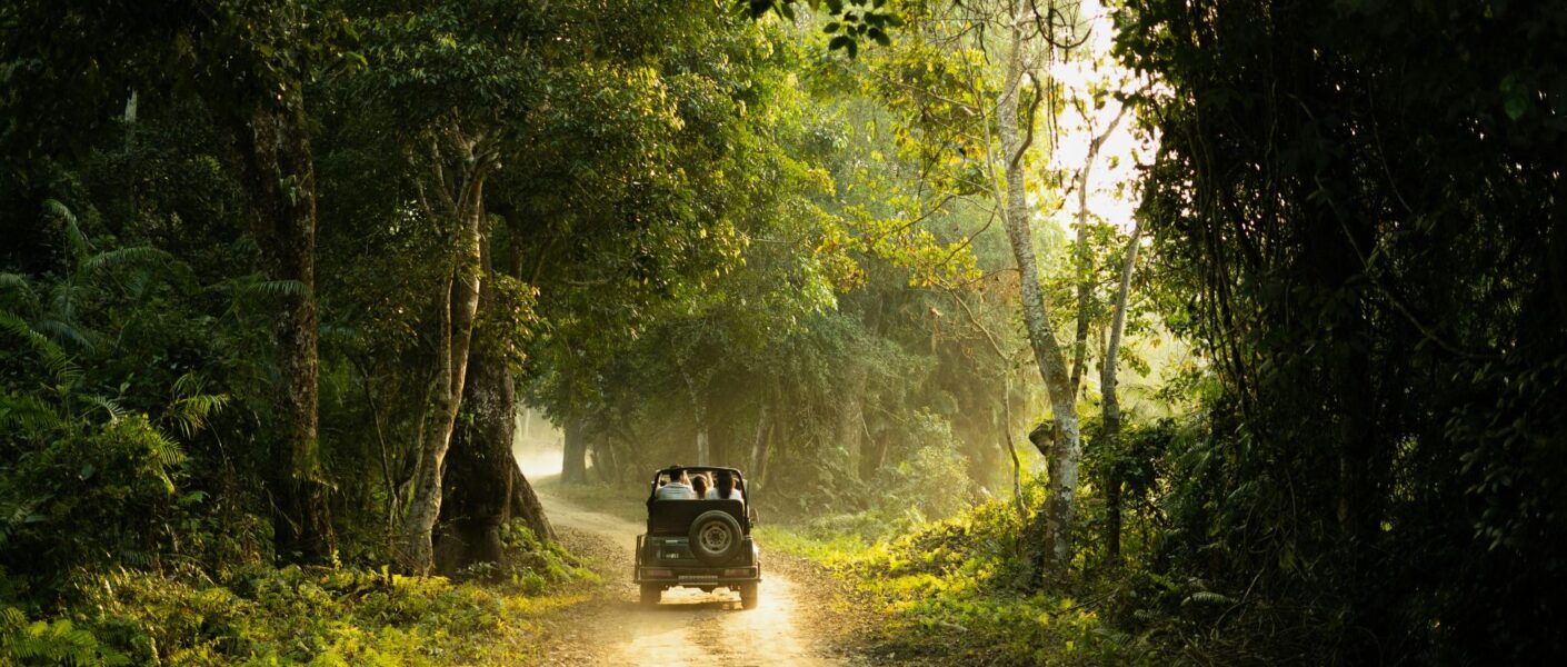 luxurious safari