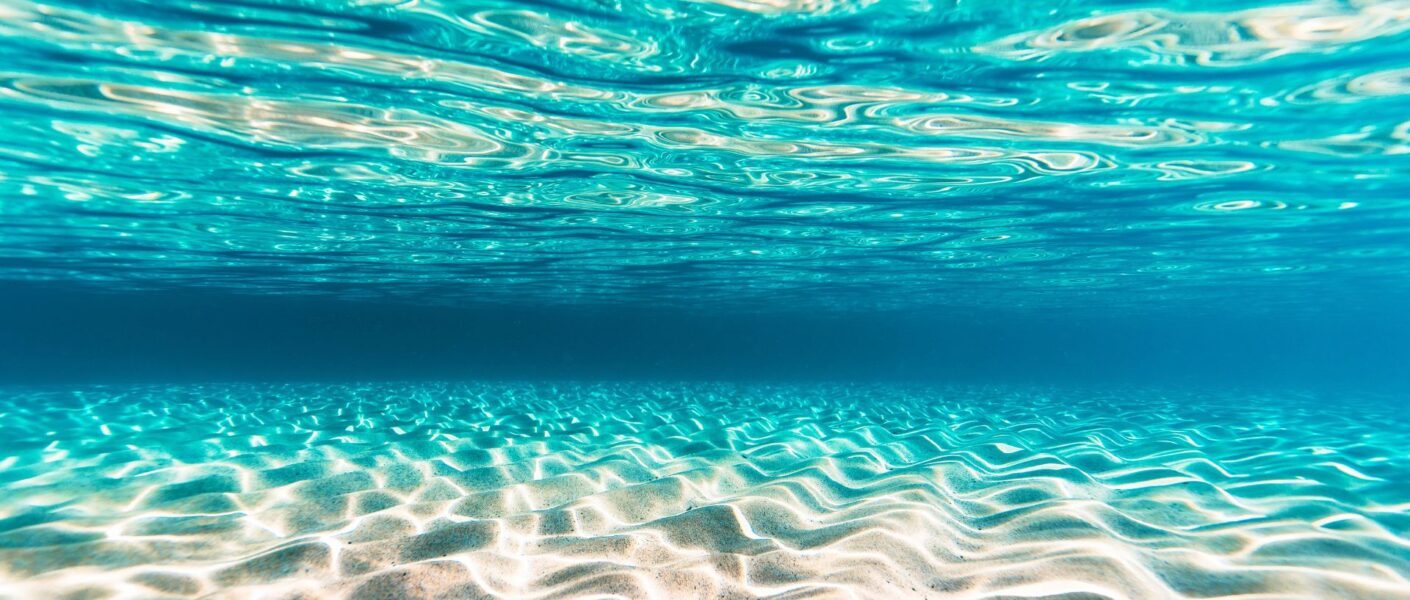 marine conservation trips