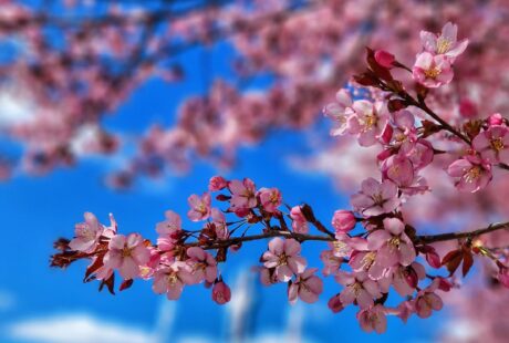 Alternative Economic Systems